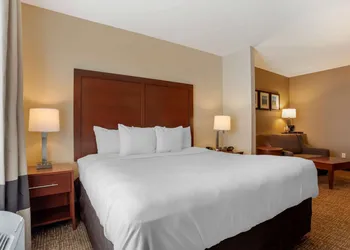 Comfort Suites Foley hotel thumbnail 5