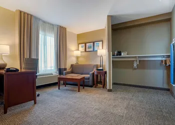 Comfort Suites Foley hotel thumbnail 8