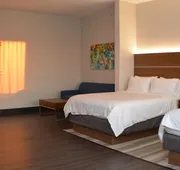 Holiday Inn Express Hotel & Suites Seguin by IHG hotel detail image 4