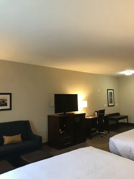 Comfort Suites Clarksville near Governors Square Mall hotel detail image 6