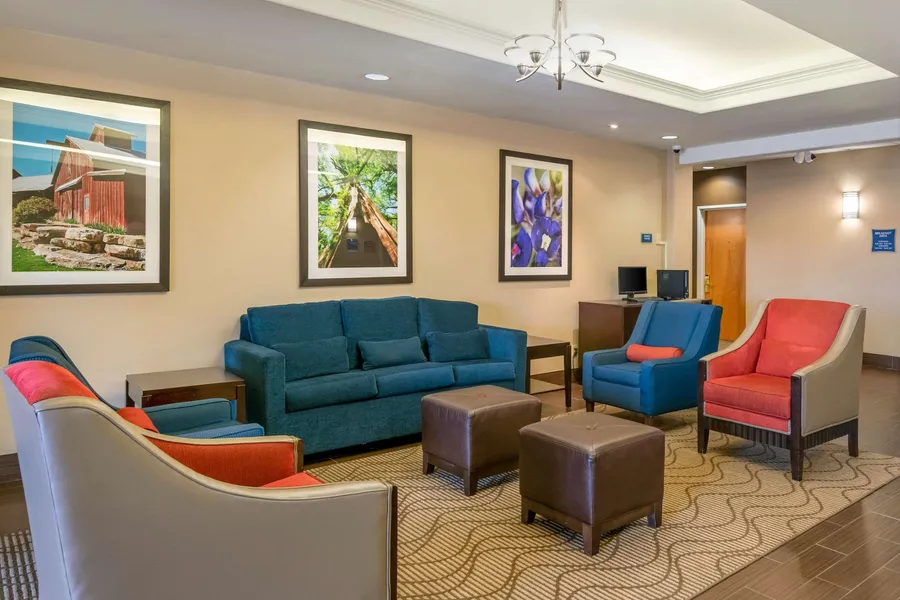 Comfort Inn & Suites, Odessa I-20 hotel detail image 2