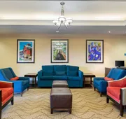 Comfort Inn & Suites, Odessa I-20 hotel detail image 3