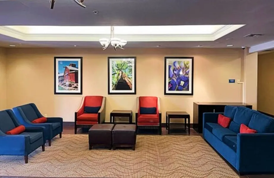 Comfort Inn & Suites, Odessa I-20 hotel detail image 6
