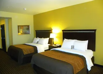 Comfort Inn & Suites Regional Medical Center hotel thumbnail 5