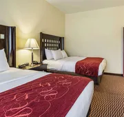 Comfort Suites Leesville near Fort Johnson hotel detail image 5