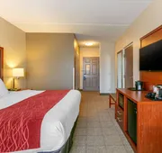 Comfort Inn & Suites Nashville Franklin Cool Springs hotel detail image 7