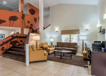 Sleep Inn Sarasota North hotel thumbnail 4