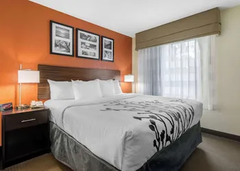 Sleep Inn Sarasota North hotel thumbnail 8