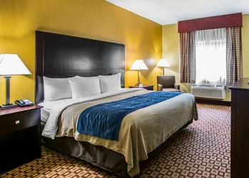 Quality Inn Plant City - Lakeland hotel thumbnail 8