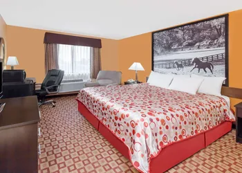 Super 8 by Wyndham Bowling Green South hotel thumbnail 6