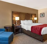 Comfort Inn Williamsport hotel detail image 7