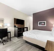 Best Western Boerne Inn & Suites hotel detail image 7