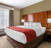 Comfort Suites Florence I-95 hotel detail image 4