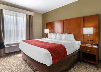 Comfort Suites Florence I-95 hotel thumbnail 4