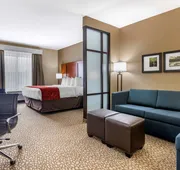 Comfort Suites Florence I-95 hotel detail image 7