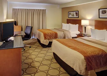 Comfort Inn hotel thumbnail 3