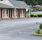 Budget Motor Lodge hotel detail image 7