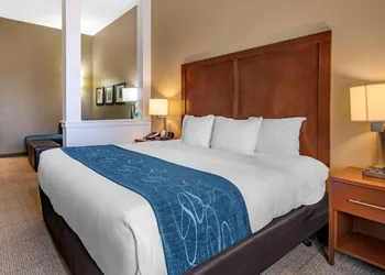 Comfort Suites Airport - University hotel thumbnail 7
