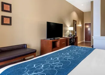 Comfort Suites Airport - University hotel thumbnail 8