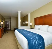 Comfort Suites Airport - University hotel detail image 5