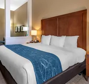 Comfort Suites Airport - University hotel detail image 7