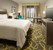 Hilton Garden Inn College Station hotel detail image 5