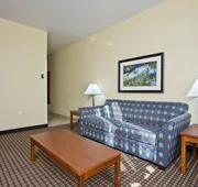 Holiday Inn Express Hotel & Suites Denver East-Peoria Street by IHG hotel detail image 3