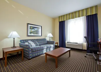 Holiday Inn Express Hotel & Suites Denver East-Peoria Street by IHG hotel thumbnail 6