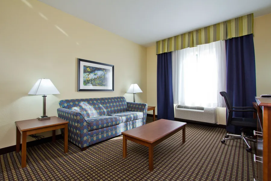 Holiday Inn Express Hotel & Suites Denver East-Peoria Street by IHG hotel detail image 6