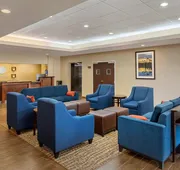 Comfort Inn & Suites Port Arthur-Port Neches hotel detail image 3