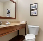 Comfort Inn & Suites Port Arthur-Port Neches hotel detail image 7