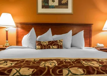 Rodeway Inn Muskegon Airport hotel thumbnail 6
