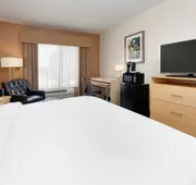 Holiday Inn Express & Suites San Antonio - Brooks City Base by IHG hotel detail image 3