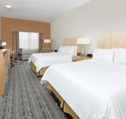 Holiday Inn Express & Suites San Antonio - Brooks City Base by IHG hotel detail image 7