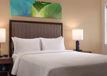 The Grove Resort & Water Park Orlando hotel thumbnail 5