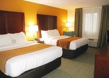 Comfort Inn Ferdinand hotel thumbnail 3