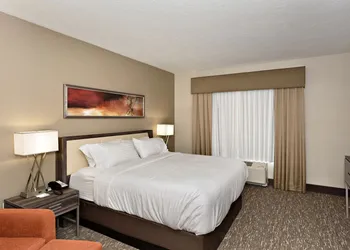 Holiday Inn St. George Conv Ctr by IHG hotel thumbnail 5