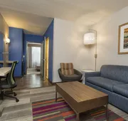 Holiday Inn Express & Suites S Lake Buena Vista by IHG hotel detail image 3