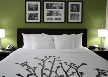 Sleep Inn Ellenboro Hwy 50 hotel thumbnail 8