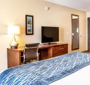 Comfort Inn & Suites Niagara Falls Blvd USA hotel detail image 4