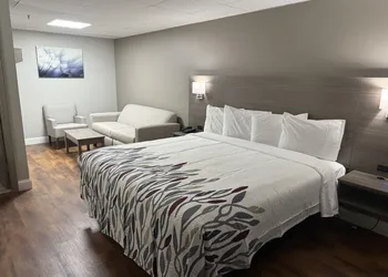 Red Roof Inn & Suites Swansea hotel thumbnail 4