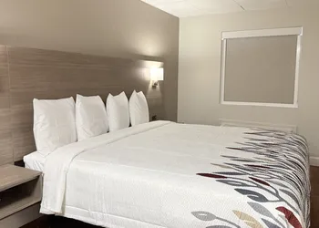 Red Roof Inn & Suites Swansea hotel thumbnail 6