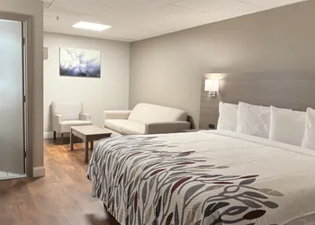 Red Roof Inn & Suites Swansea hotel thumbnail 8