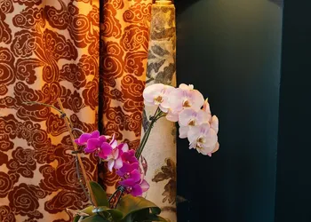 voco Hotel Napoleon Memphis by IHG hotel thumbnail 8