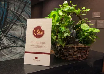 DoubleTree by Hilton Hotel Niagara Falls New York hotel thumbnail 8