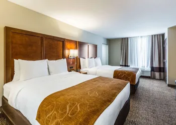 Comfort Suites Channelview - Houston East hotel thumbnail 5