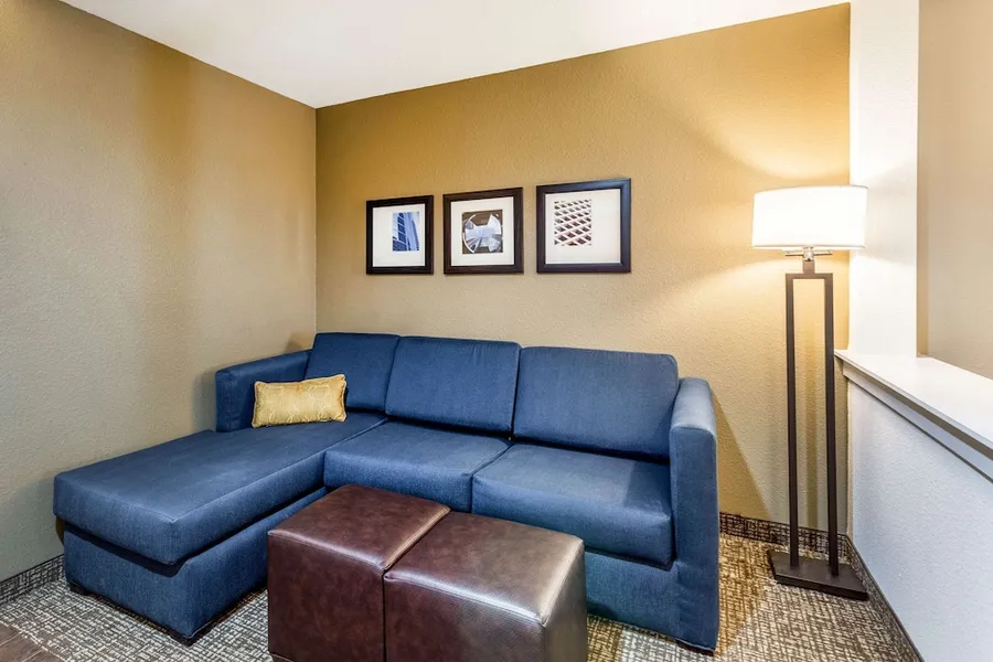 Comfort Suites Channelview - Houston East hotel detail image 6