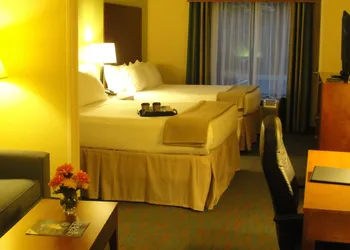 Holiday Inn Express Hotel & Suites Atlanta East - Lithonia by IHG hotel thumbnail 4