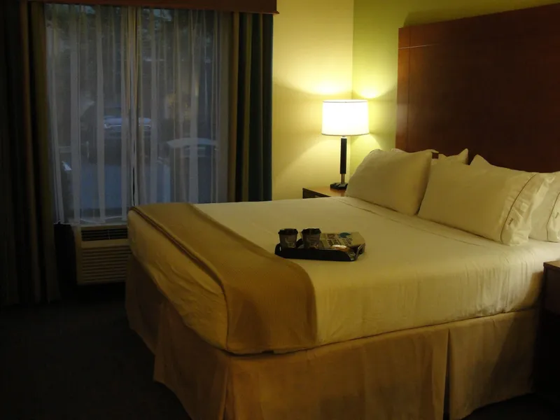 Holiday Inn Express Hotel & Suites Atlanta East - Lithonia by IHG hotel detail image 6