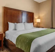 Comfort Inn & Suites Edgewood hotel detail image 3